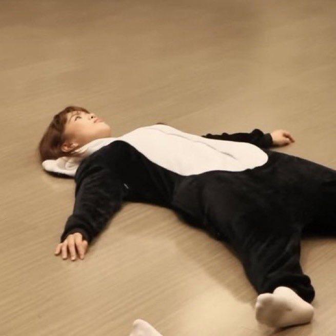Maloi on the floor